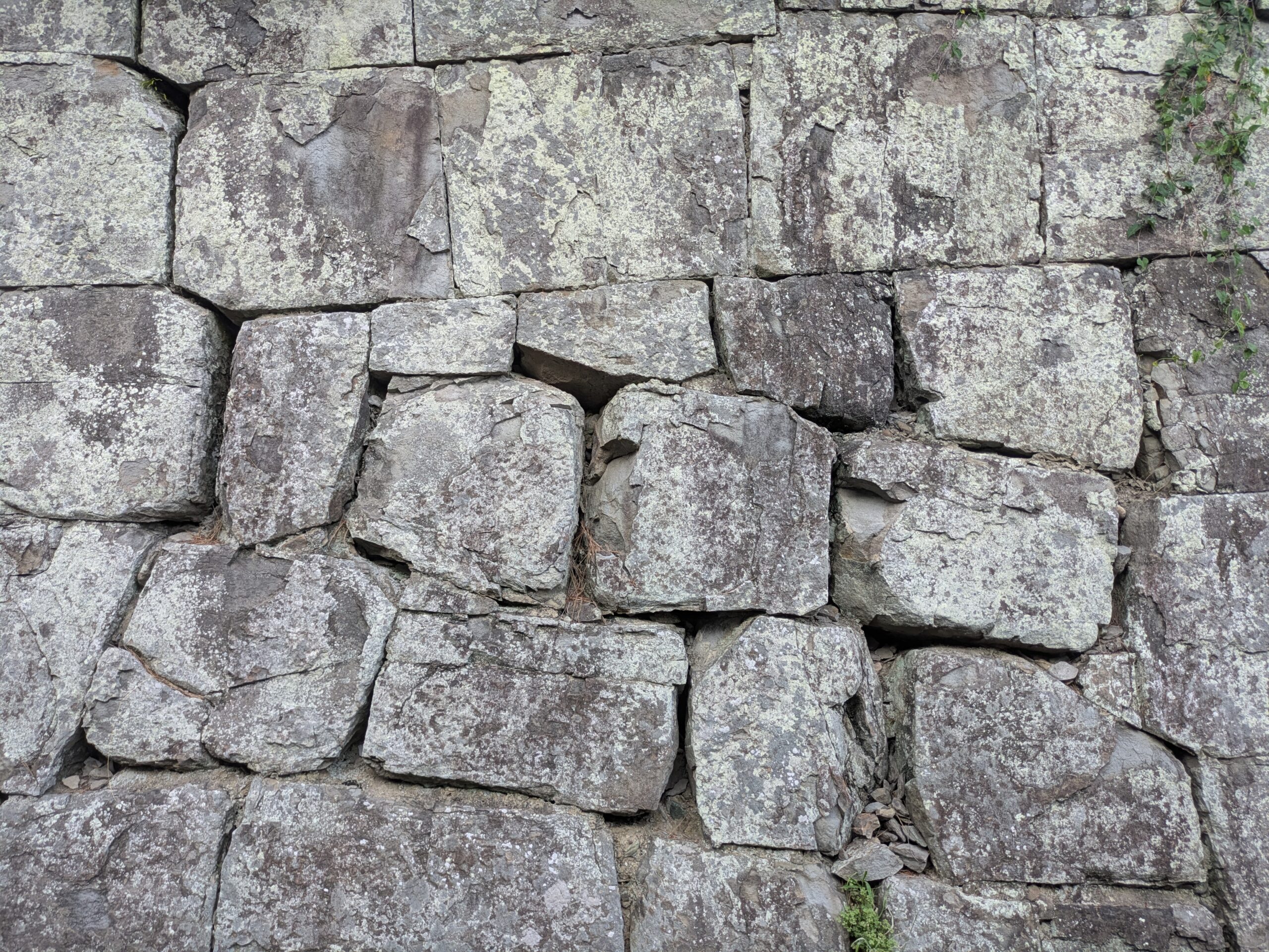 ICY行政書士事務所 | 相続と建設業｜大阪 西成区の行政書士
